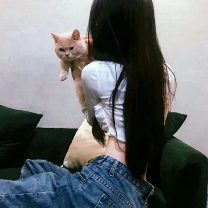 血麒麟之关东宝藏